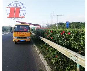 长沙绿化修剪车
